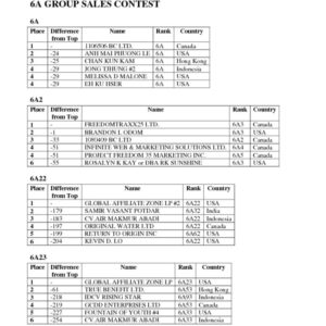 thumbnail of June 1st to 19th Interim Results – 6A GROUP SALES CONTEST
