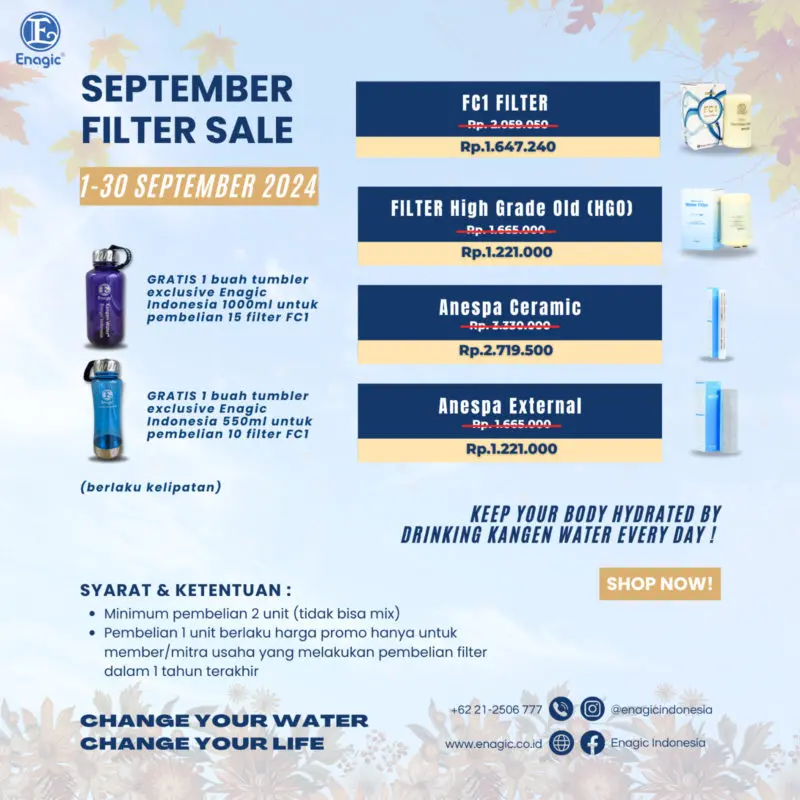 Flyer Promo Filter September 2024