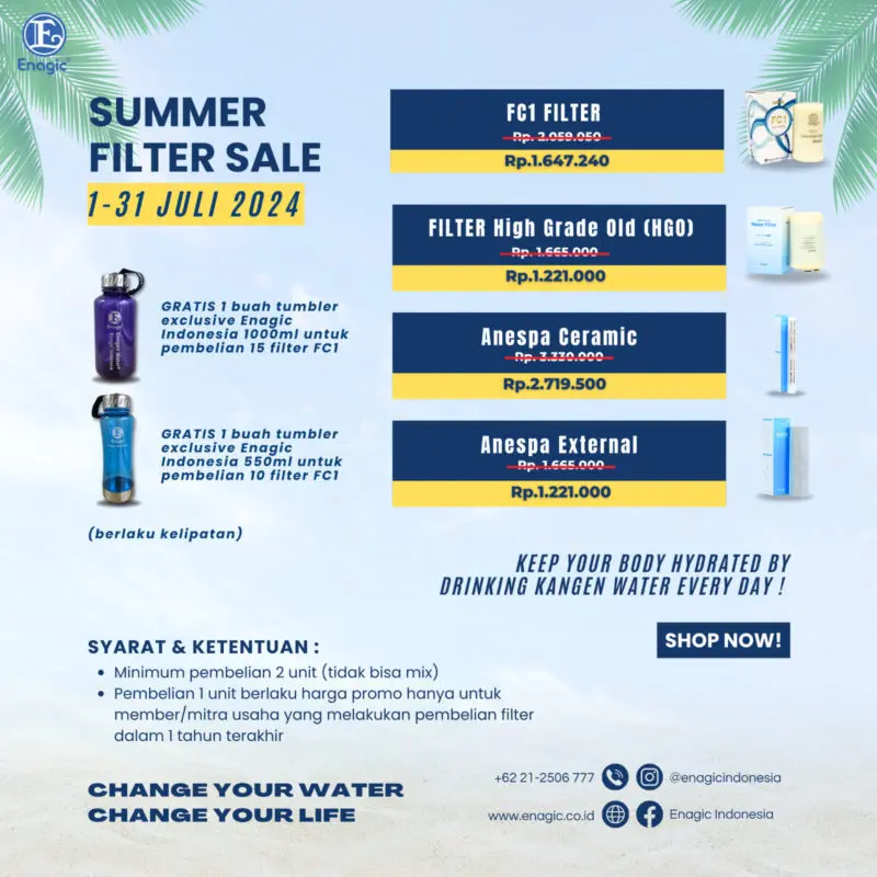 Flyer Summer Filter Sale